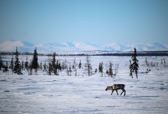 Уральские горы: самые известные и высокие вершины Урала