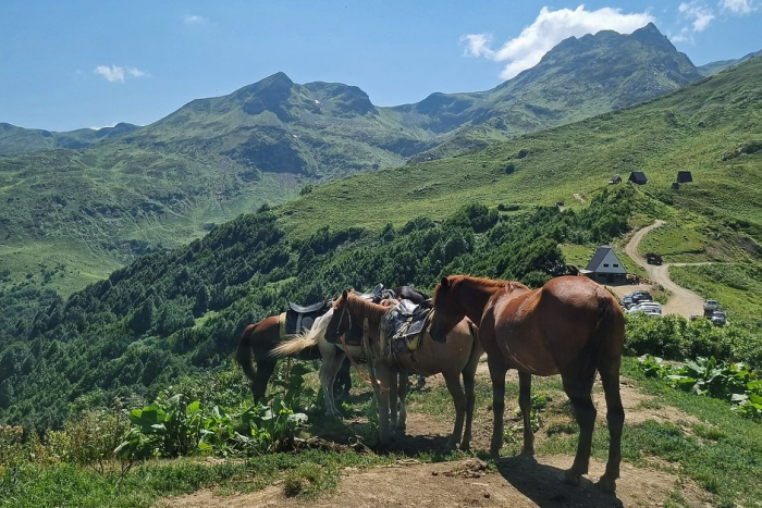 Куда поехать на море в сентябре 2026 года? Лучшие направления для пляжного отдыха в России и за границей