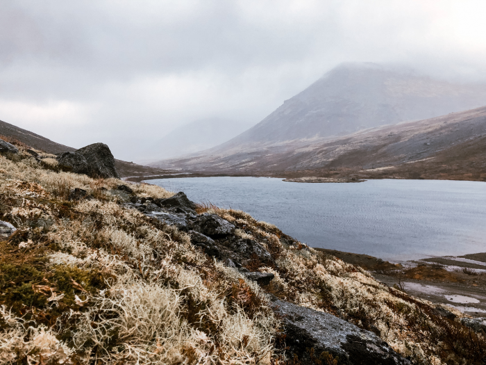 5 причин посетить Кольский полуостров