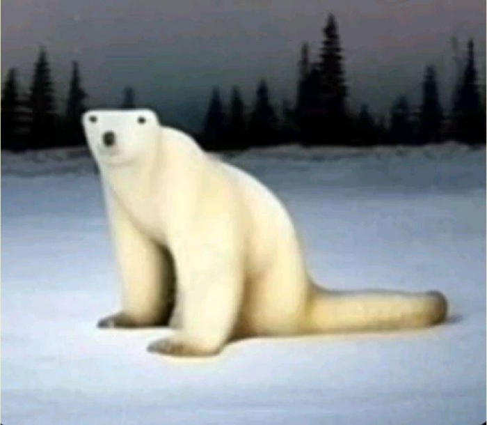 Почему школьники боятся мема «Белый медведь 2026», и в чем его смысл