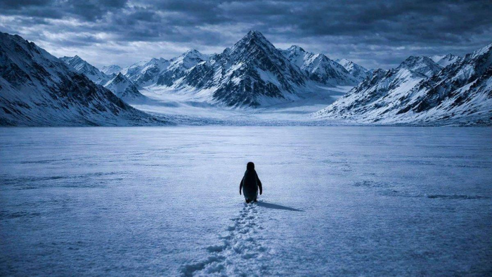 Пингвин, идущий к горе: при чем тут нигилизм и стоицизм (и почему это не просто мем)