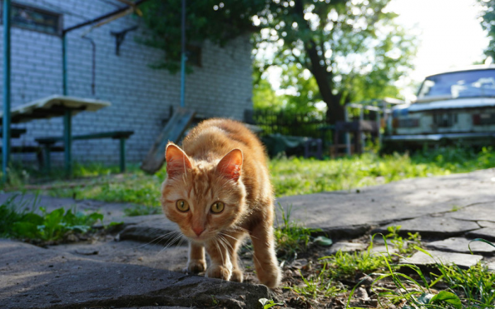 Turogo.ru - Туризм, охота и рыбалка