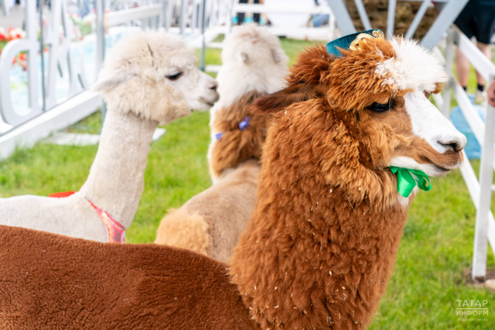 Turogo.ru - Туризм, охота и рыбалка