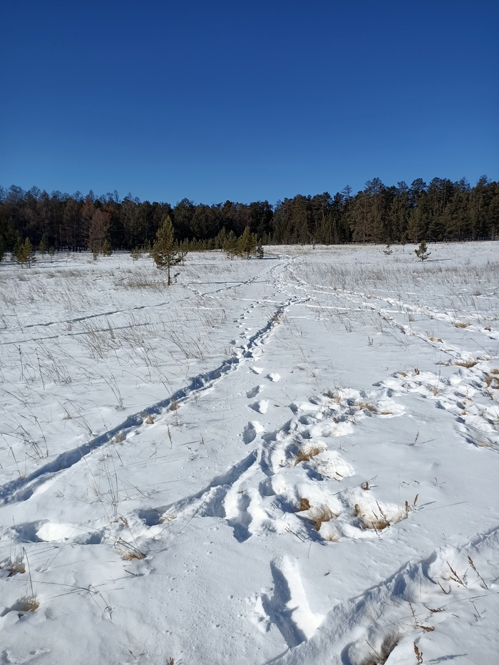 Байкал. Февраль 2023. День 6. Один на один (более 30 км пешки)