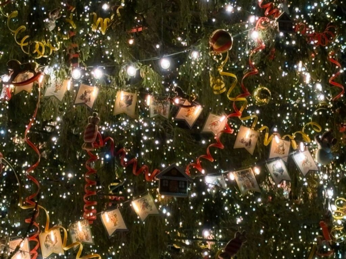 На Дворцовой площади зажгли главную новогоднюю ель Петербурга