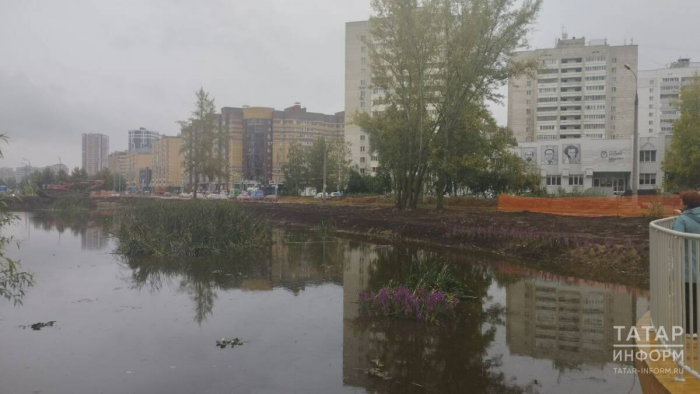 Лысуха и утки: ученый рассказал о благоустройстве озера в парке на Серова