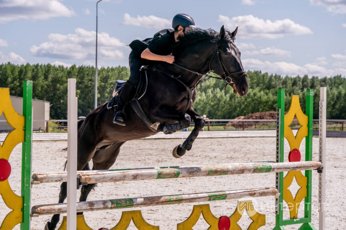 Шыгырдан җайдаклары: «Атларда чабу җанга ял бирә, бөтен тормыш мәшәкатьләре онытыла»