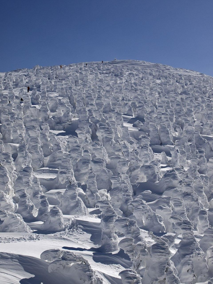 10 неожиданных фактов о снеге, которые вы, скорее всего, не знали