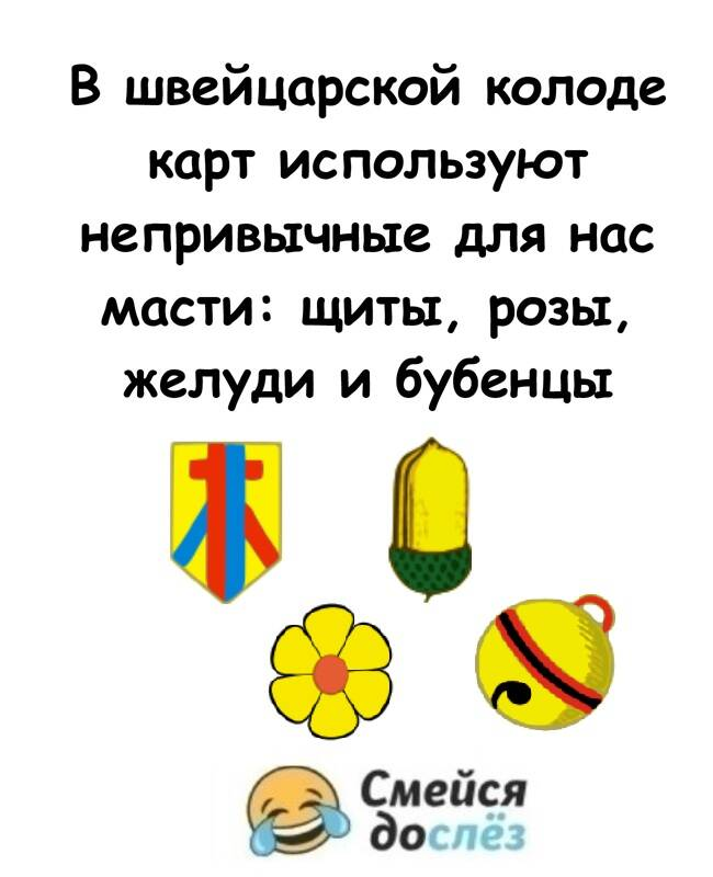 15 интересных фактов как доказательство, что всё не так банально, как кажется