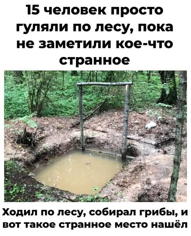 15 человек просто гуляли по лесу, пока не заметили кое-что странное