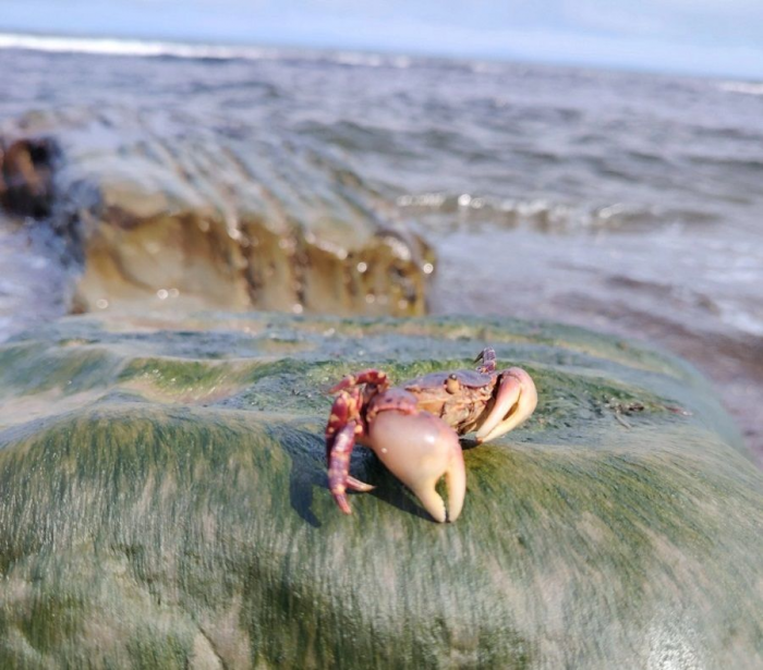 Turogo.ru - Туризм, охота и рыбалка