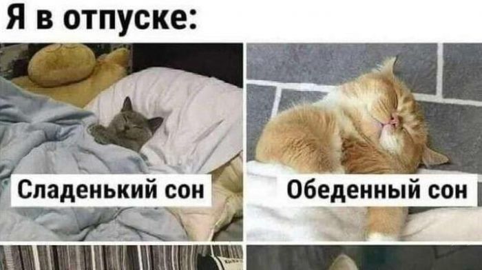 Смешные мемы и картинки про отпуск и отдых