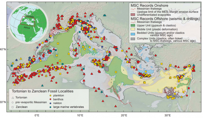 Осушение Средиземного моря в позднем миоцене изменило видовой состав морской биоты