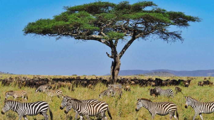 Прекрасное в далеком: россияне осенью выбирают экзотические направления отдыха