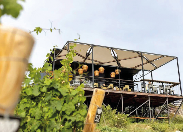 Маршруты со вкусом: о современных винодельнях Крыма, дегустациях и энотуризме