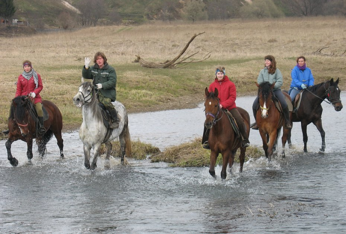 «Закрой глаза и держись за седло» Россиянка преодолела верхом на коне самые труднодоступные маршруты России. Как ей это удалось?