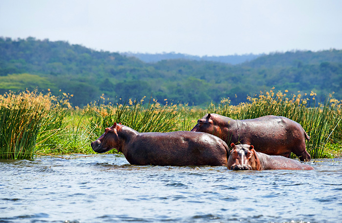 Топ-10 стран, где рады туристам