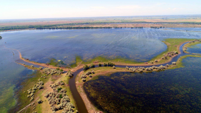 Записки астраханского натуралиста. ...изируя итоги прошедшего паводка