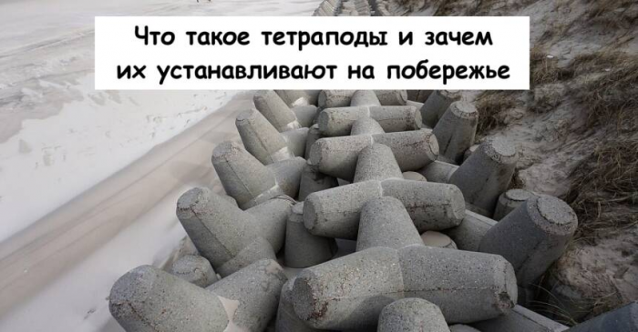 Что такое тетраподы и зачем их устанавливают на побережье