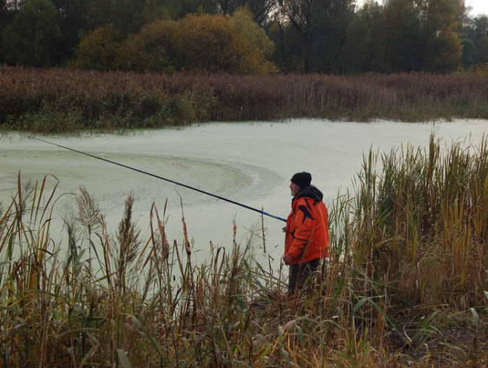 Вести с водоемов