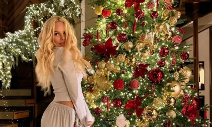 Сушки вместо шаров и гирлянды, которые видно из космоса: самые красивые новогодние елки российских звезд 2026