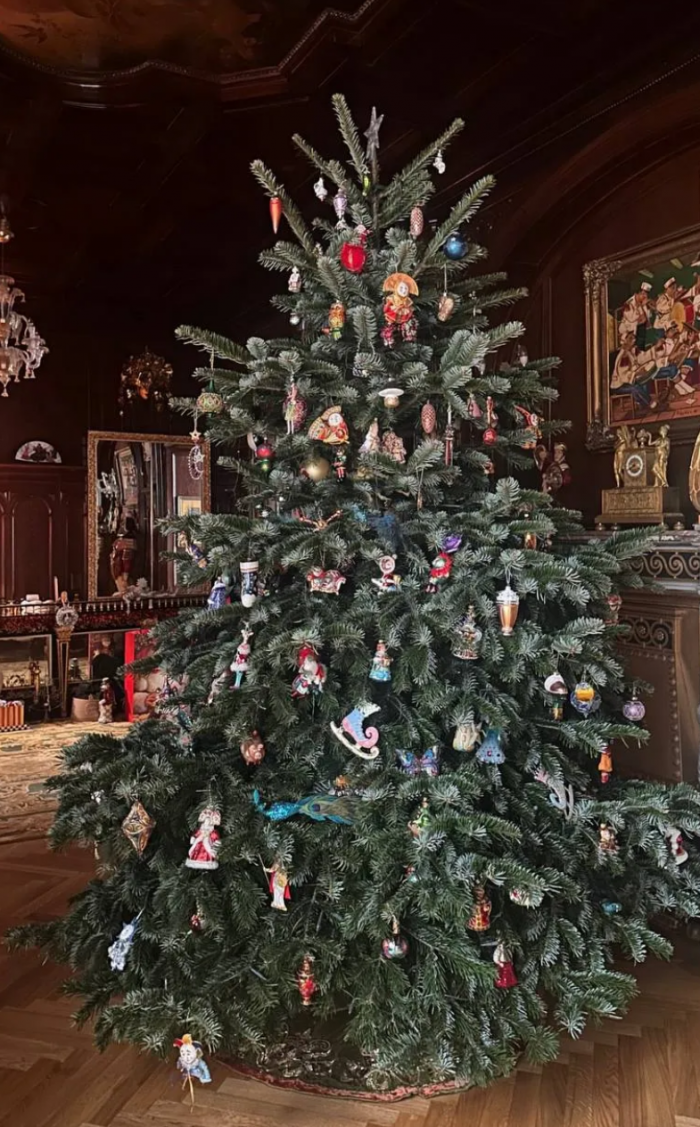 Сушки вместо шаров и гирлянды, которые видно из космоса: самые красивые новогодние елки российских звезд 2026