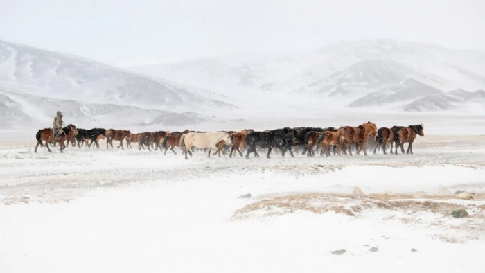 15 фото из сердца Горного Алтая, где люди охотятся с беркутами