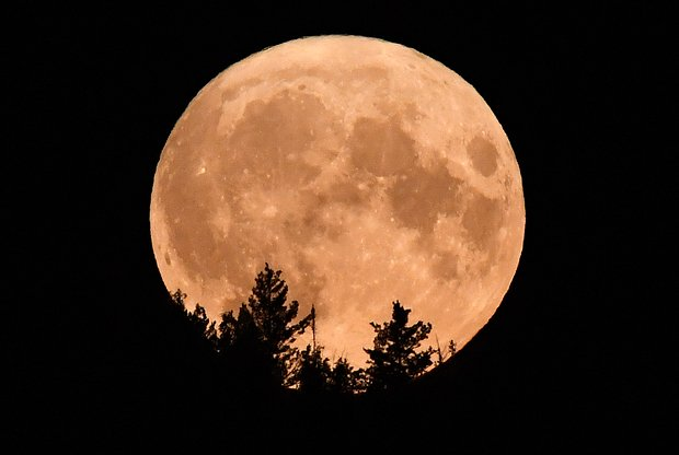 Суперлуние 5 ноября 2025 года: когда и как смотреть на луну Охотника