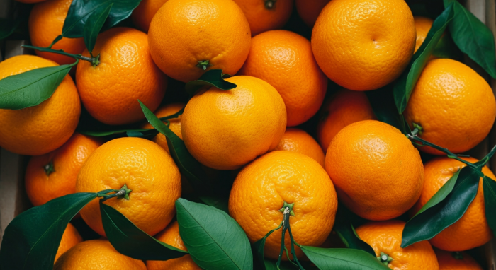 Почему мандарины стали символом Нового года в России