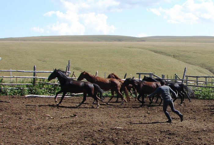 «Закрой глаза и держись за седло» Россиянка преодолела верхом на коне самые труднодоступные маршруты России. Как ей это удалось?