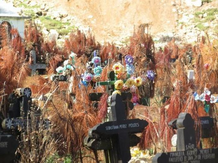 15 самых жутких кладбищ на земле, побывать на которых стремятся любители пощекотать нервы