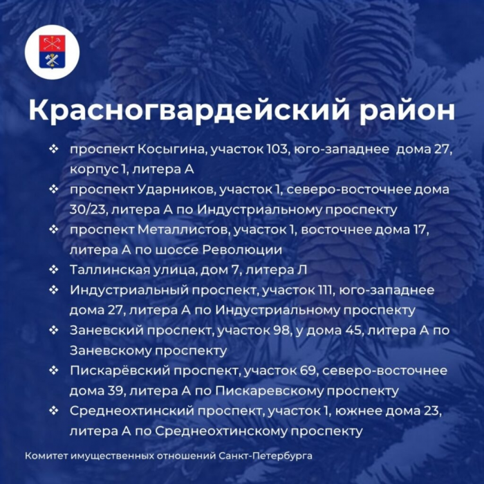 Петербуржцам назвали адреса елочных базаров, которые заработают 20 декабря 2025