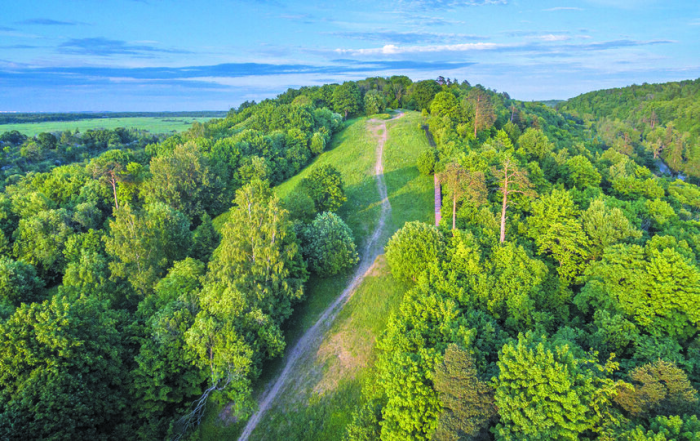От орхидей до болота: шесть экотроп появится в Петербурге