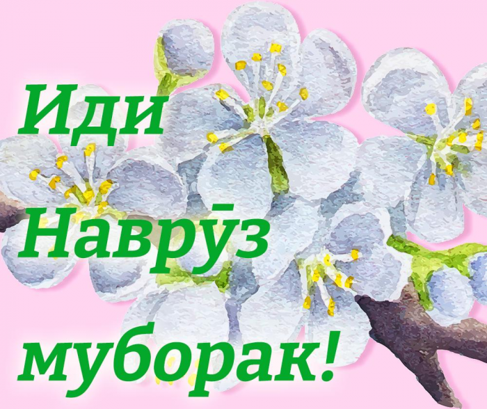 Лучшие красивые картинки, открытки и поздравления с праздником Навруз в 2026 году — на казахском, таджикском и других языках