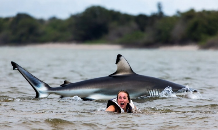 Turogo.ru - Туризм, охота и рыбалка