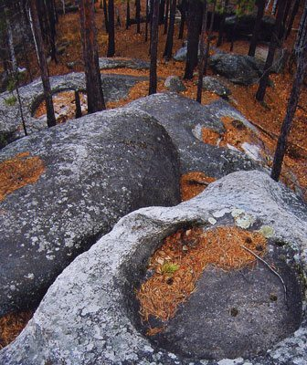 Любите путешествовать на электричке?