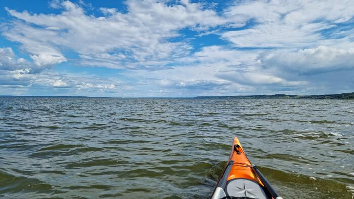 Змеиный солярий, родео на волнах и остров-сокровище. День шестьдесят пятый
