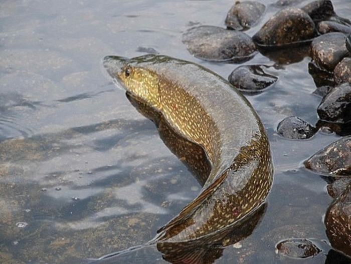 Назло метеорологам