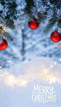 Красивые зимние обои для телефона: 80+ вертикальных картинок на заставку для уютного настроения