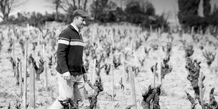 Кем был Эммануэль Рейно, главный винодел долины Роны