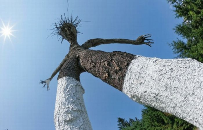 Белые бордюры и белые деревья: почему в СССР так любили все белить