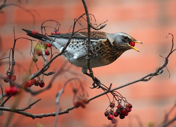 День осеннего равноденствия: приметы и история. Когда в 2026 году будет день осеннего равноденствия?