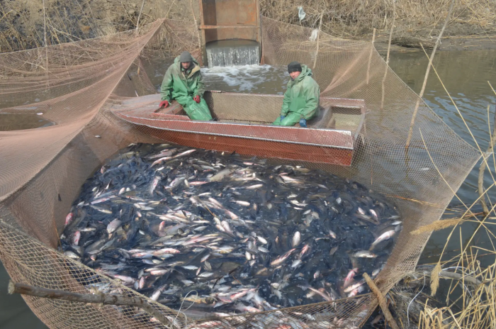 Turogo.ru - Туризм, охота и рыбалка