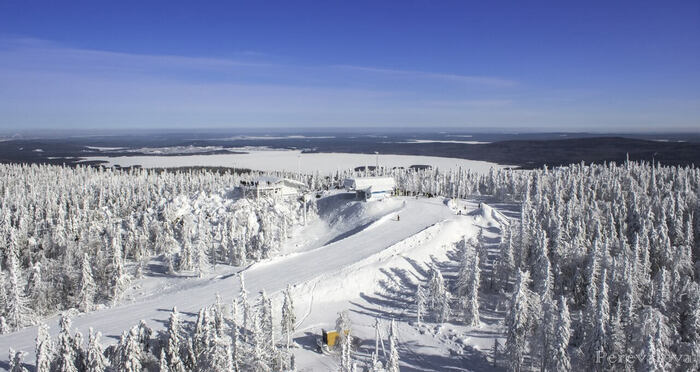 Любите путешествовать на электричке?