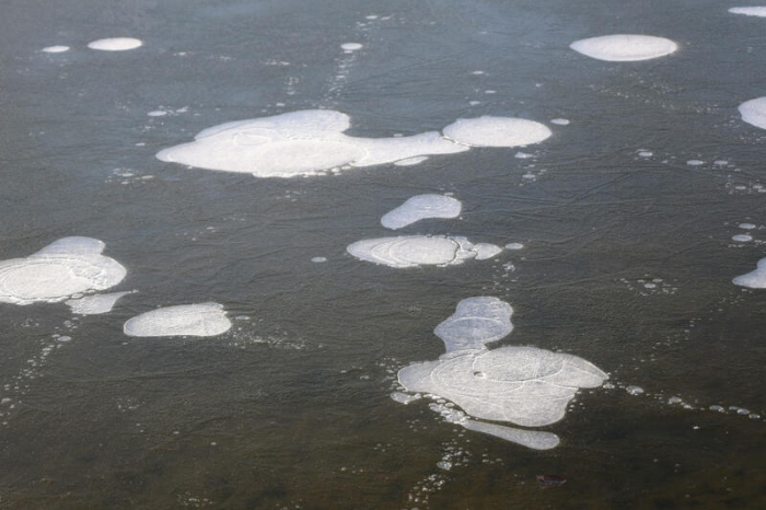 Последняя осень. Барнаульский Ковш в октябрьском забвении