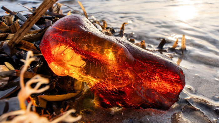 7 интересных фактов  о янтаре, или Почему янтарь ценили фараоны