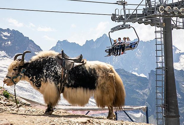 Отдых на горнолыжном курорте Домбай. Как добраться и что посмотреть в 2026 году
