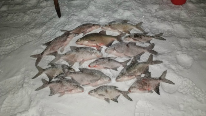 Turogo.ru - Туризм, охота и рыбалка