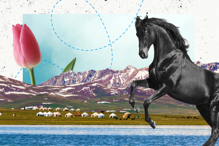 Куда поехать на Новый год 2026 без загранпаспорта: 6 стран