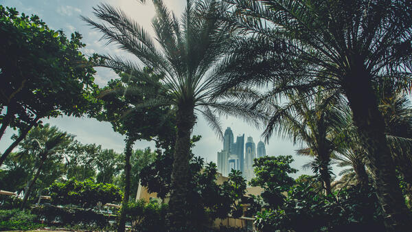 Нумеролог рассказала, куда лучше путешествовать в 2026 году по дате рождения